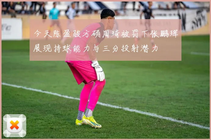 今天陈盈骏方硕周琦被罚下张鹏珲展现持球能力与三分投射潜力