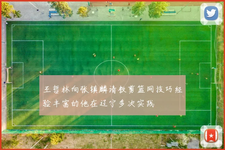 王哲林向张镇麟请教剪篮网技巧经验丰富的他在辽宁多次实践