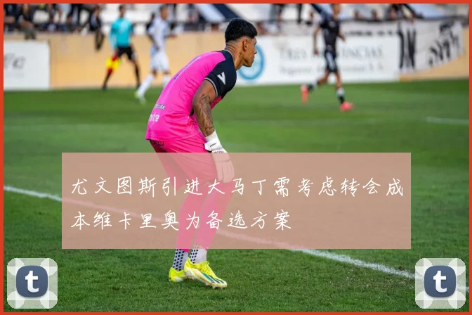 尤文图斯引进大马丁需考虑转会成本维卡里奥为备选方案