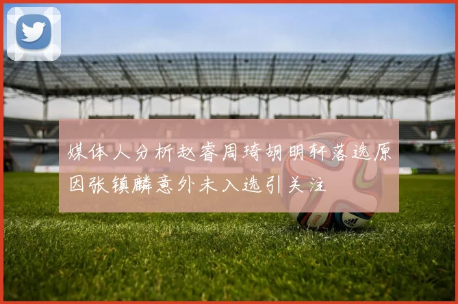 媒体人分析赵睿周琦胡明轩落选原因张镇麟意外未入选引关注
